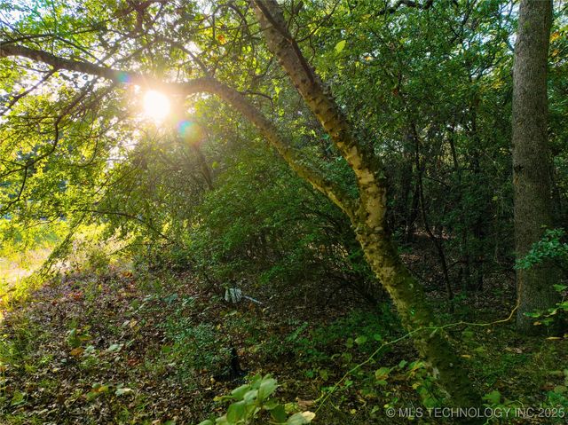 0 Pecan Road, Kingston, OK 73439