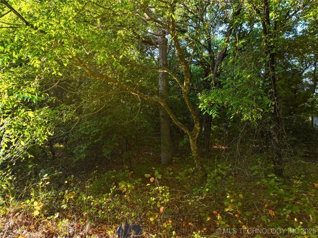 0 Pecan Road, Kingston, OK 73439