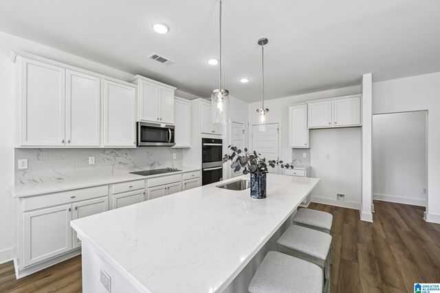 0242 BELLEHURST DRIVE, Warrior, AL 35180