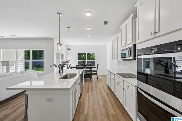 0242 BELLEHURST DRIVE, Warrior, AL 35180