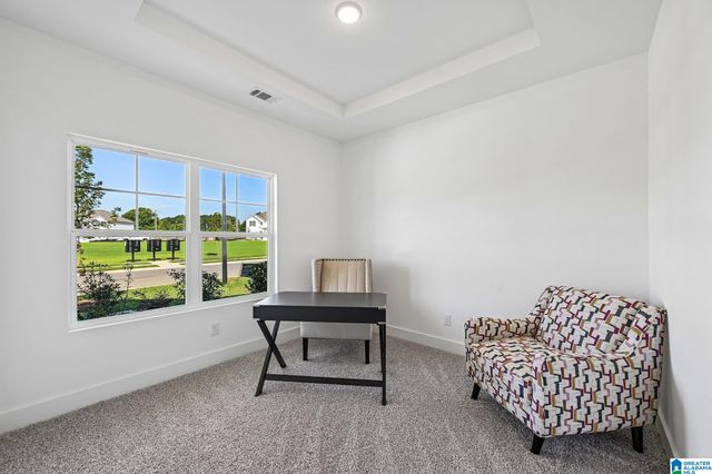 0242 BELLEHURST DRIVE, Warrior, AL 35180