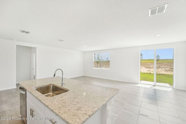 31678 WILD GRAPE Lane, Brooksville, FL 34602