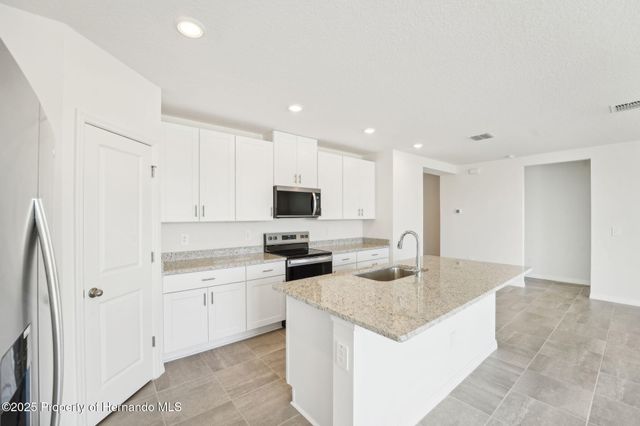 31678 WILD GRAPE Lane, Brooksville, FL 34602