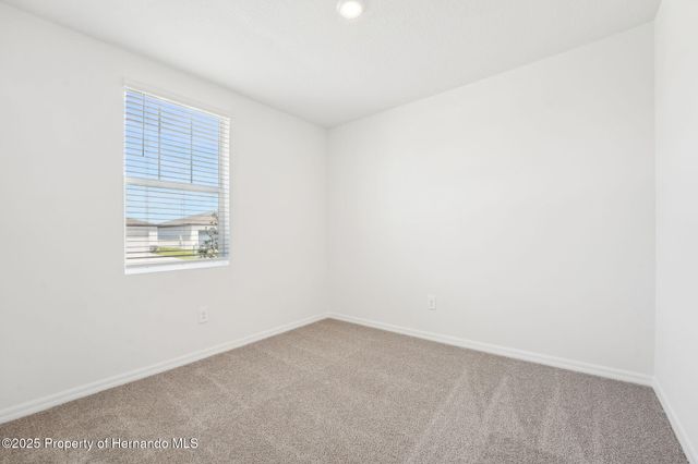 31678 WILD GRAPE Lane, Brooksville, FL 34602