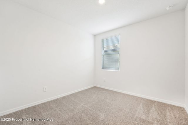 31678 WILD GRAPE Lane, Brooksville, FL 34602