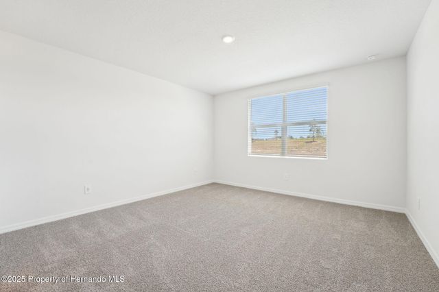 31678 WILD GRAPE Lane, Brooksville, FL 34602