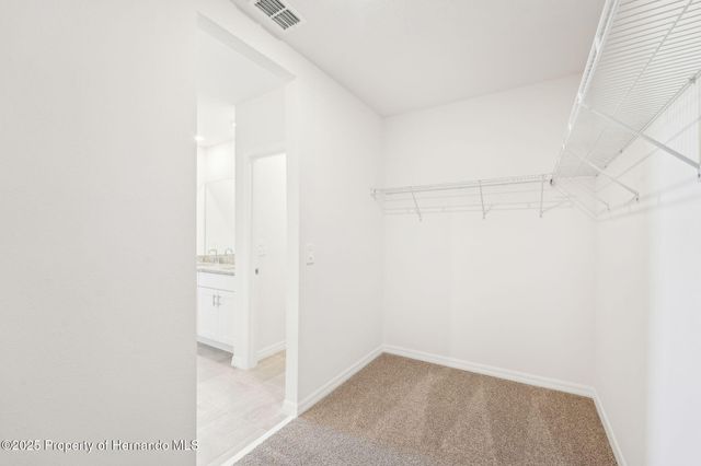 31678 WILD GRAPE Lane, Brooksville, FL 34602