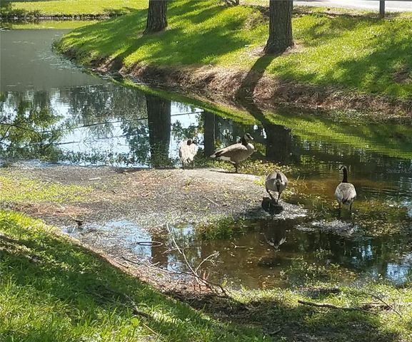 3954 LA COSTA LANE, Largo, FL 33771