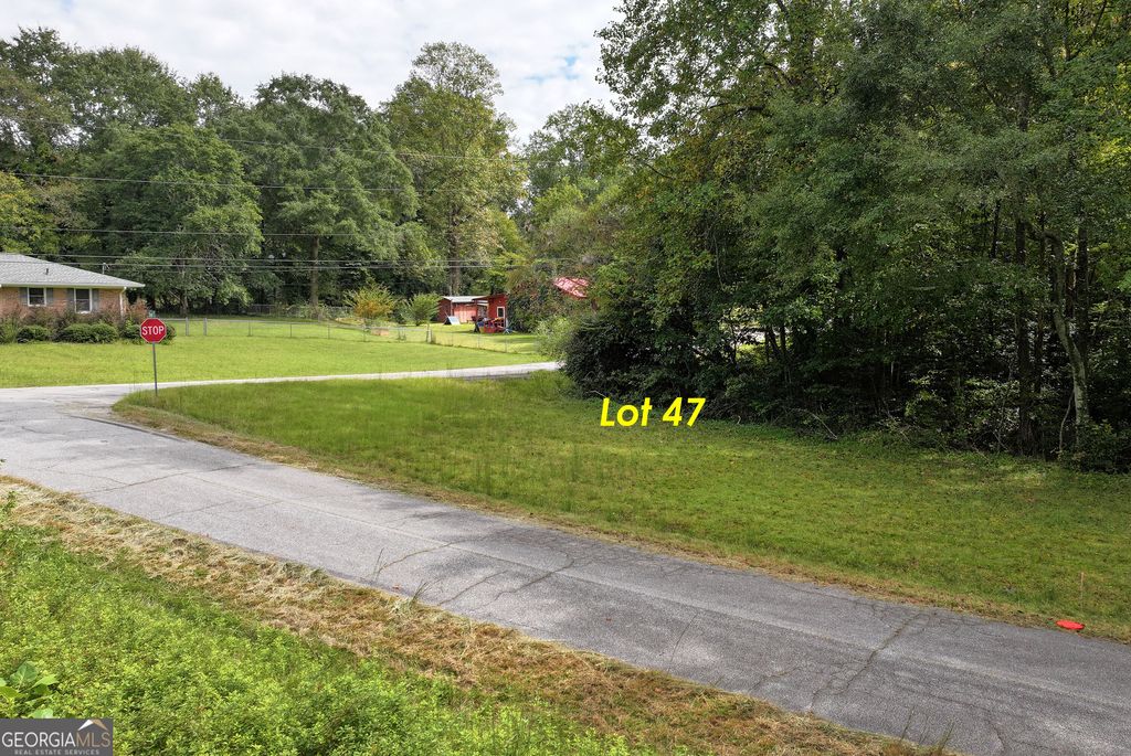 LOT 47 Barron Drive, Clarkesville, GA 30523 — photo 2