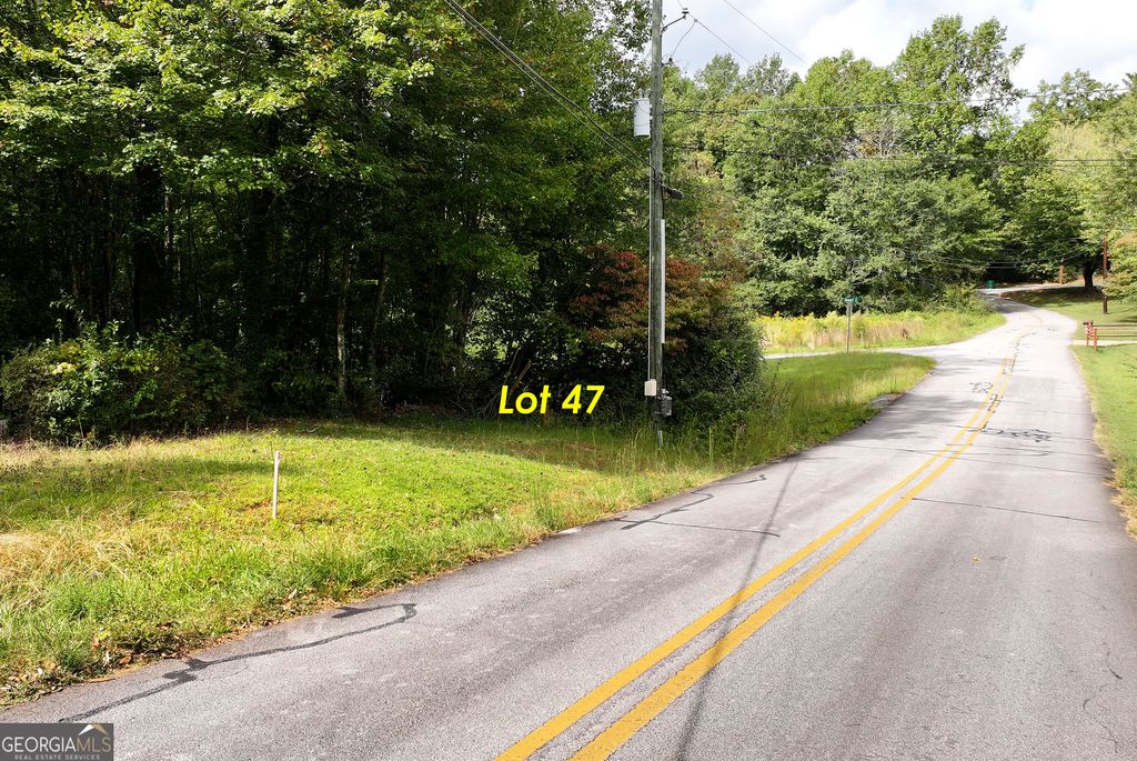 LOT 47 Barron Drive, Clarkesville, GA 30523 — photo 3