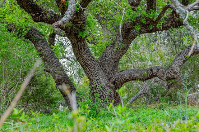 910 Abbey RD, Liberty Hill, TX 78642