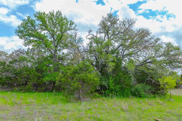 910 Abbey RD, Liberty Hill, TX 78642