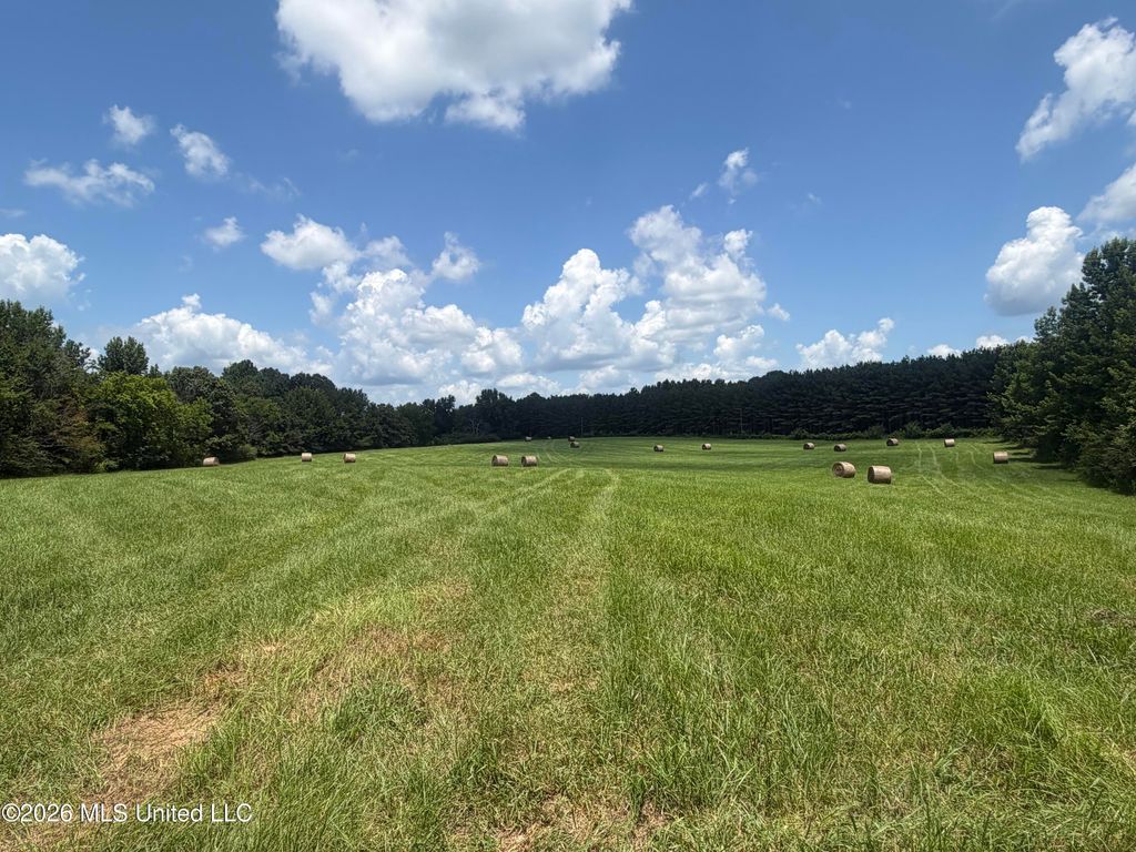 00 Graves Road, Holly Springs, MS 38635 — photo 2