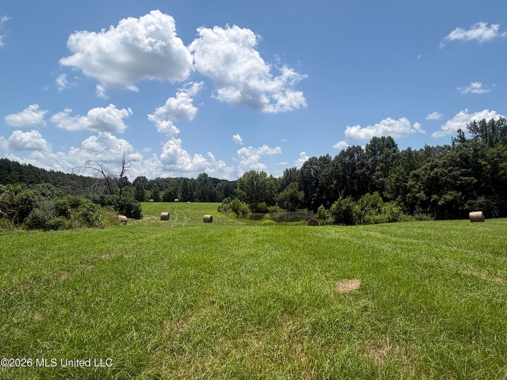 00 Graves Road, Holly Springs, MS 38635 — photo 3