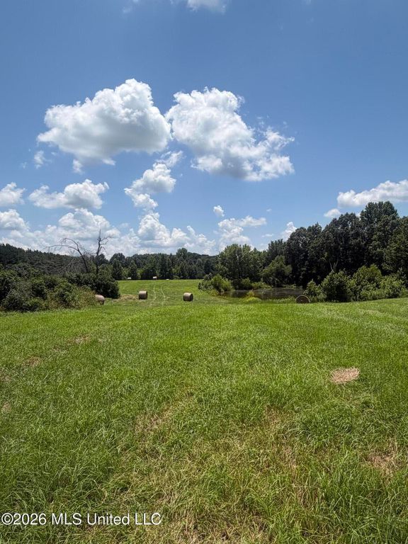 00 Graves Road, Holly Springs, MS 38635 — photo 4