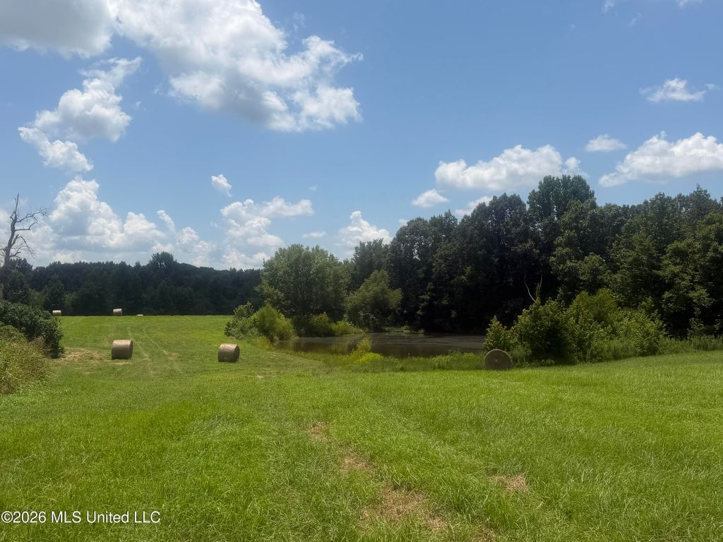 00 Graves Road, Holly Springs, MS 38635 — photo 5