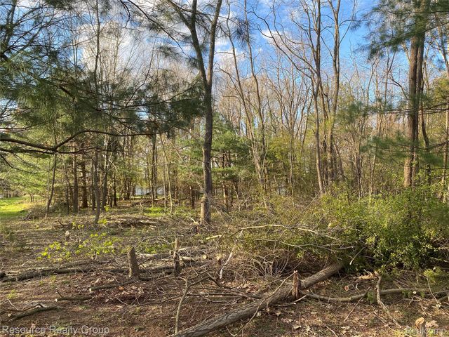 0. Colangelo Ln., Hamburg Township, MI 48189