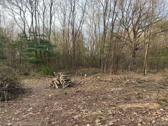 0. Colangelo Ln., Hamburg Township, MI 48189