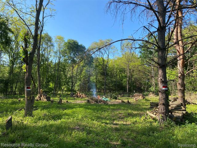 0. Colangelo Ln., Hamburg Township, MI 48189