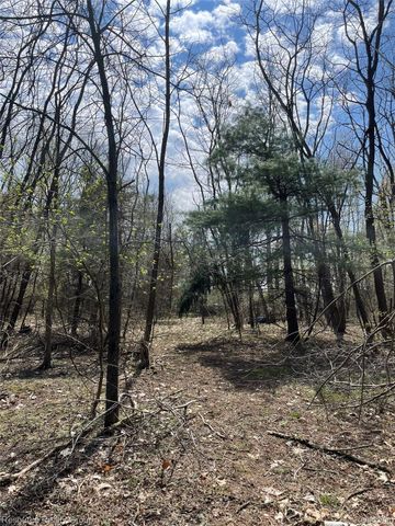 0. Colangelo Ln., Hamburg Township, MI 48189