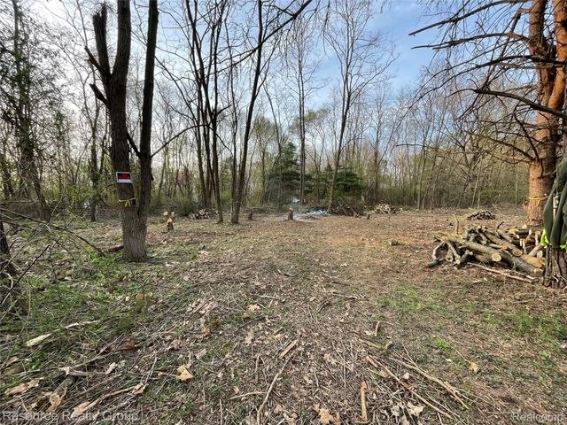 0. Colangelo Ln., Hamburg Township, MI 48189