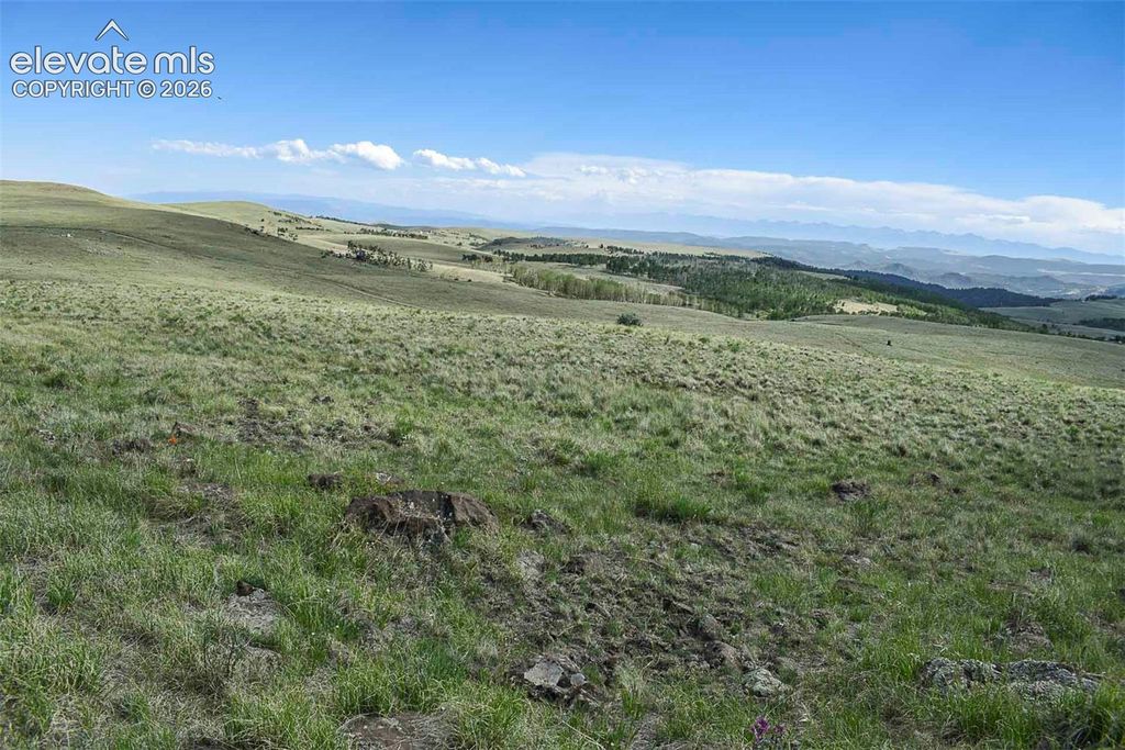 00 Bear Cat Road, Guffey, CO 80820 — exterior