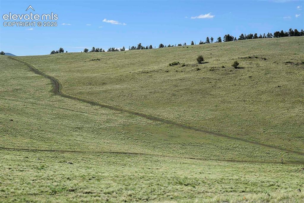 00 Bear Cat Road, Guffey, CO 80820 — photo 2