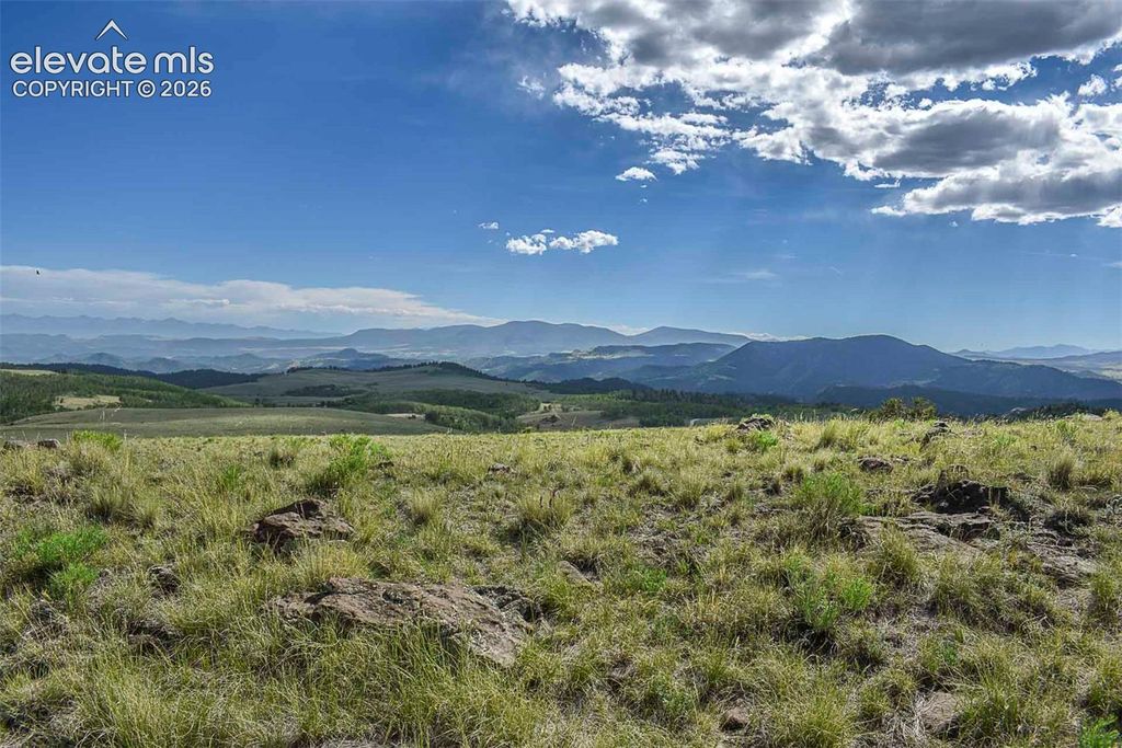 00 Bear Cat Road, Guffey, CO 80820 — photo 3