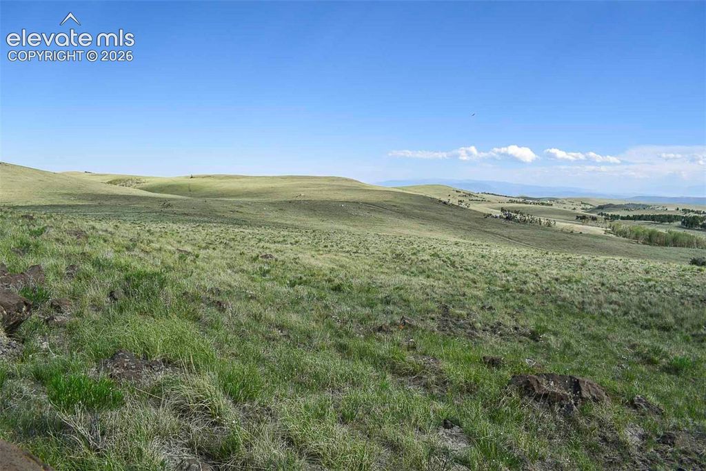 00 Bear Cat Road, Guffey, CO 80820 — photo 4