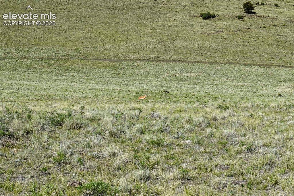 00 Bear Cat Road, Guffey, CO 80820 — photo 5