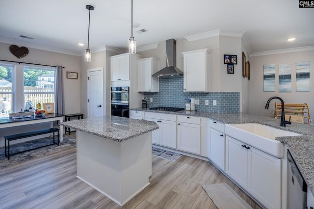 41 Elk Run Court, Chapin, SC 29036