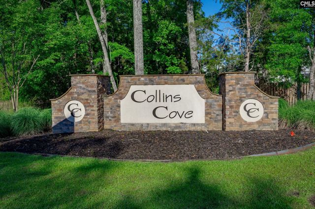 41 Elk Run Court, Chapin, SC 29036