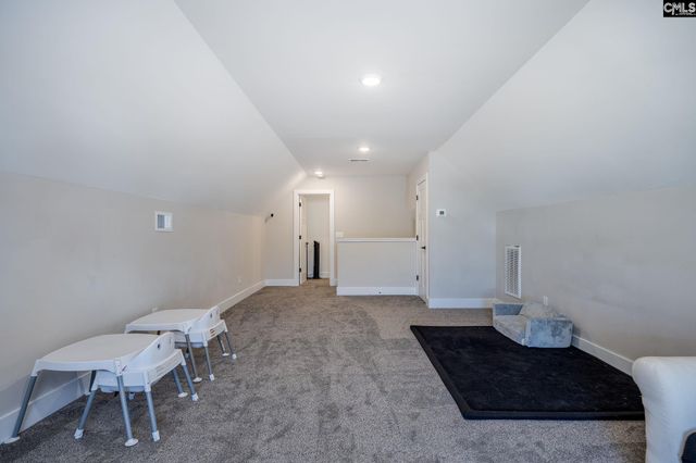 41 Elk Run Court, Chapin, SC 29036