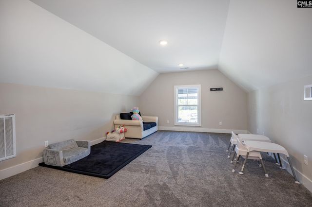 41 Elk Run Court, Chapin, SC 29036