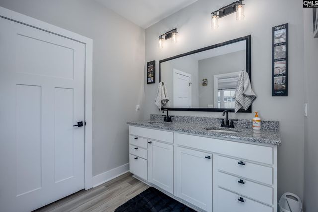 41 Elk Run Court, Chapin, SC 29036
