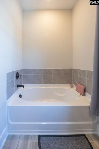 41 Elk Run Court, Chapin, SC 29036