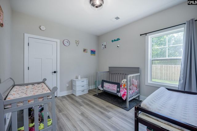 41 Elk Run Court, Chapin, SC 29036