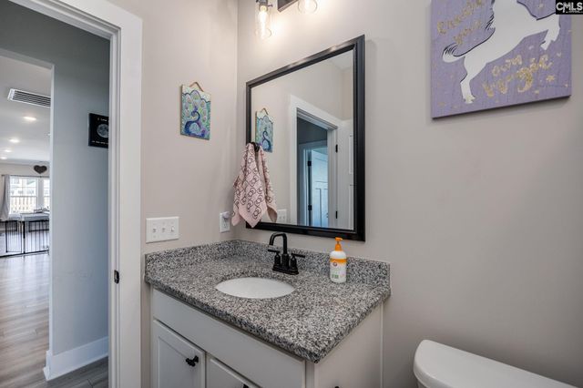 41 Elk Run Court, Chapin, SC 29036