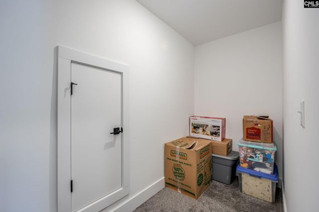 41 Elk Run Court, Chapin, SC 29036