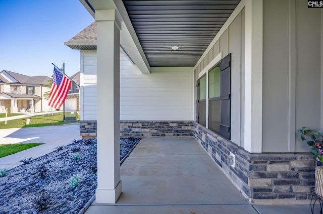 41 Elk Run Court, Chapin, SC 29036