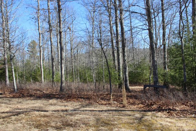 625 HUMMINGBIRD LN, Monterey, VA 24465