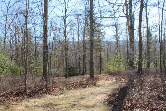 625 HUMMINGBIRD LN, Monterey, VA 24465