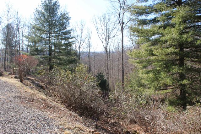 625 HUMMINGBIRD LN, Monterey, VA 24465