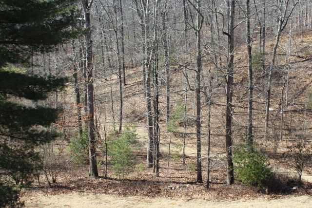 625 HUMMINGBIRD LN, Monterey, VA 24465