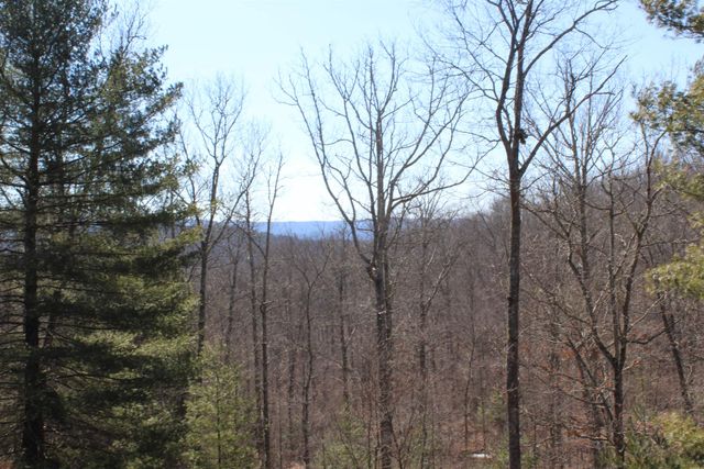 625 HUMMINGBIRD LN, Monterey, VA 24465