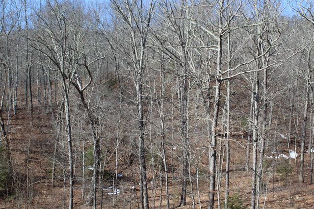 625 HUMMINGBIRD LN, Monterey, VA 24465