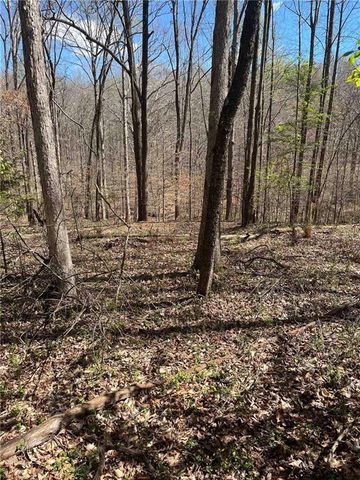 861 Boss Hardy Road, Winder, GA 30680