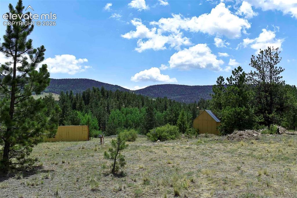 376 Copeland Road, Guffey, CO 80820 — exterior