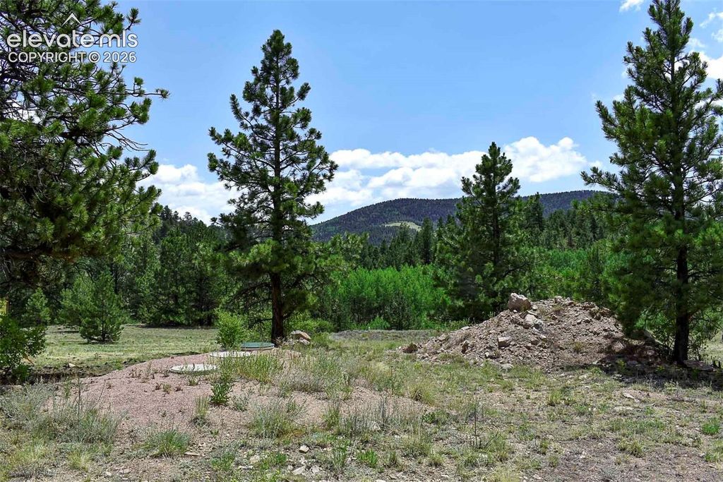 376 Copeland Road, Guffey, CO 80820 — photo 2