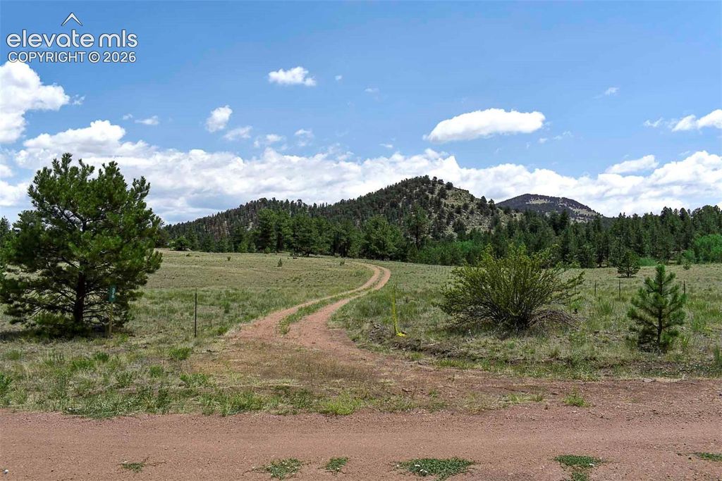 376 Copeland Road, Guffey, CO 80820 — photo 3